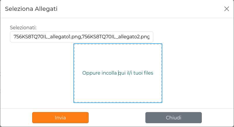 Gestione Ticket Seleziona Allegati Incolla